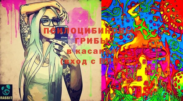 ешки Абинск