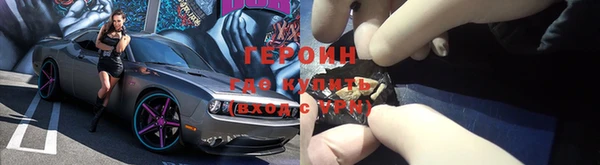 прущие грибы Покров